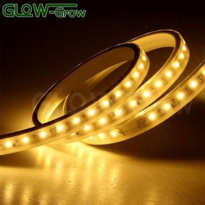 Wholesale Rope Lamp 120V IP65 Waterproof 144LEDs/M LED Strip Light