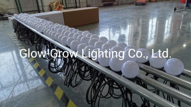 Multicolor Camping Decorative Outdoor String Lights Festoon Light for Patio Garden Home Decoration