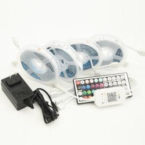 12V 24V 60LED/M 5050 Waterproof LED Strip IP65