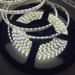 Offer High Qulaity SMD 5050 LED Strip Supply in Japan