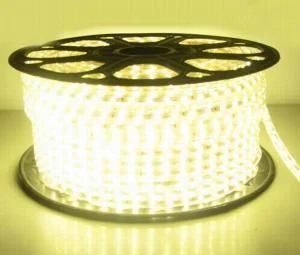 220V 5050 SMD Flexible LED Strip Light