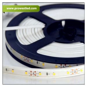 Waterproof IP68 60*SMD2835/M LED Strip Light with High Bright