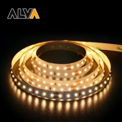 Mini Size SMD2216 Flexible Rope Light DC24V LED Strip with TUV CE, IEC