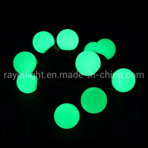 Outdoor IP65 Lighting Project LED Pixel Programmable Ball Lights