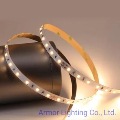 S-Shape Wholesale Chip Linear LED Strip Light 2835 60LEDs/M DC12V for Decorate