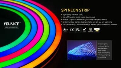 12V 5050 RGB 60 LEDs/M Magic Spi Series Neon Flex Strip