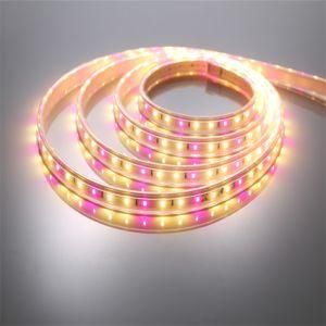 Hot Sale 120PCS 2835 One Chip SMD Tape Light