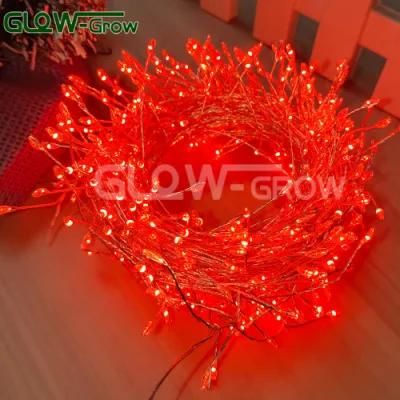 12V IP44 Red Cluster LED Fairy Lights Christmas Garland String Lights with Silver Wire for Home Event Wedding Decoration