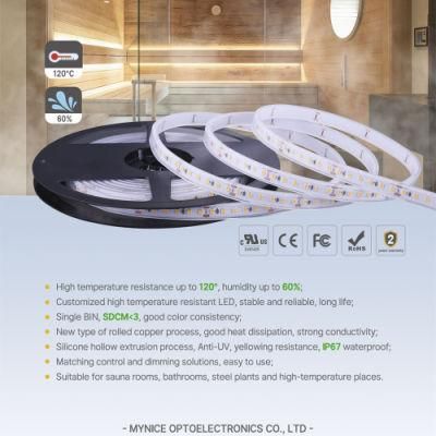 DC12V Environmental Protection Grade Silicone Hollow One Piece Extrusion IP67 LED Flexible Strip