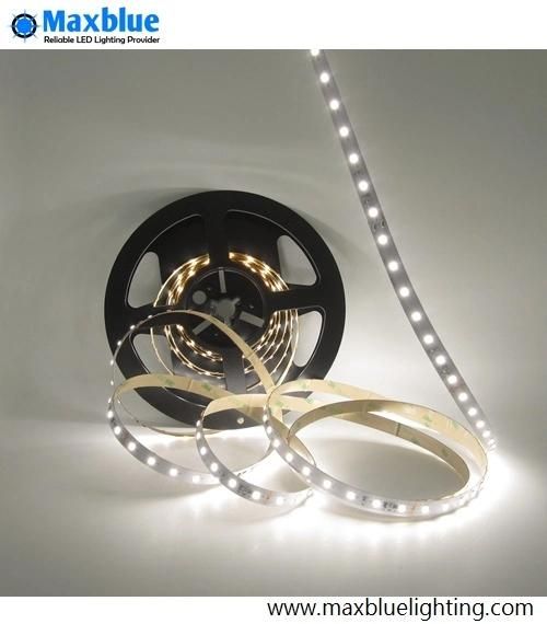 CRI90+ 2835 Dimmable Constant Current LED Strip 70LEDs/M