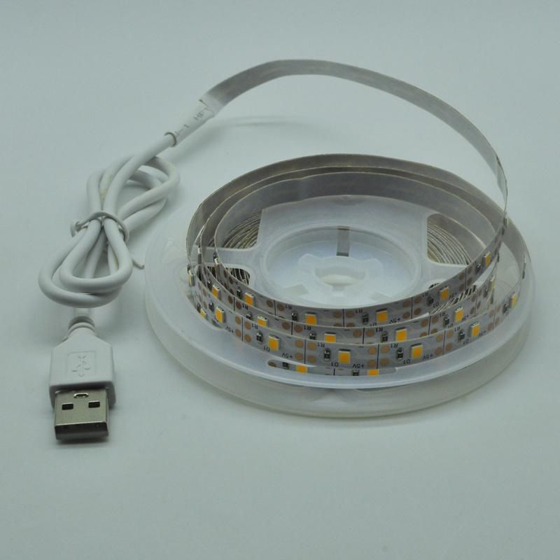LED Strip Light Flexible Lamp 1m 2m 3m 4m 5m Tape Diode SMD 2835 DC5V Desk Screen TV Background Lighting USB Cable 3 Key Control