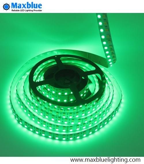 DC12V/24V 144LEDs/M Double Row SMD5050 RGBW LED Strip Light