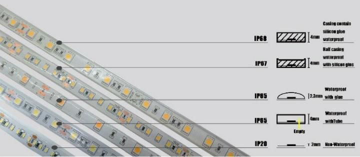 12V/24V White/Natural White/Warm White High Density SMD3014 Flexible LED Strip Light