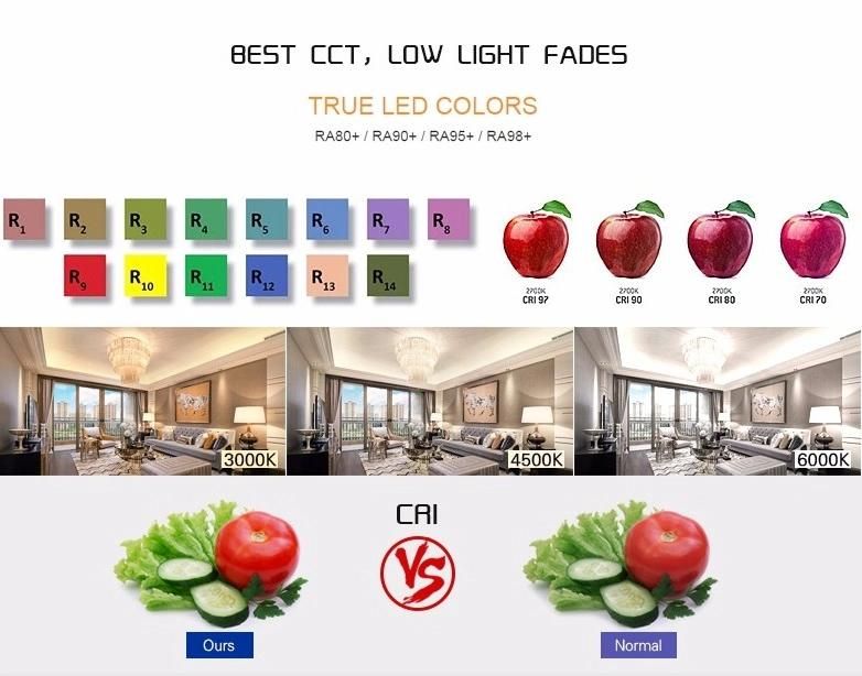 Decorative Light Waterproof Flexible LED Strip SMD5050 RGB LED Lighting Strip