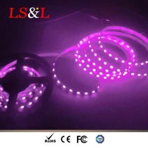 60LEDs/M LED Infraredlight LED Stringlight Rope Light Manufacturer