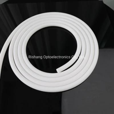 IP67 High Brightness 360 Degree DC24V LED Flex Neon Strip with UL CE RoHS Listed