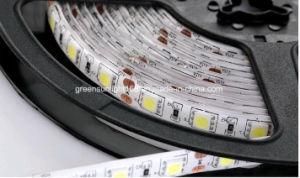 SMD 5050 LED Strip Light Garden