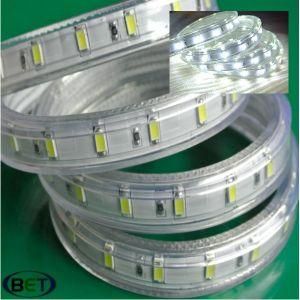 White LED SMD5630 Strip 220V 110V 277V for Christams Decoration