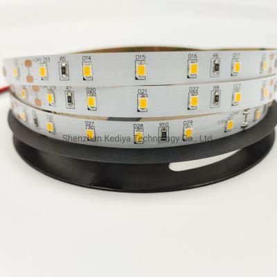 Low Voltage Flexible Light Strip Is Used for Interior Decoration and Light Box Advertising