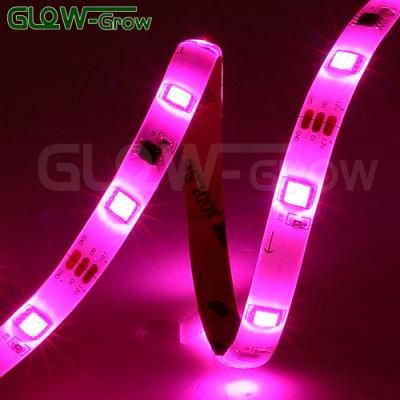 5050 UL Listed RGB LED Strip Light for Home Decor Bedroom Kitchen Christmas