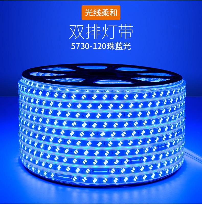 IP67 LED Strip 220V 5630/5730 120LED/M Waterproof Flexible Strip