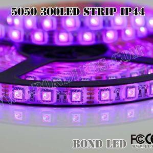Ce RoHS Backlight LED Strip Light RGB 5050 12V