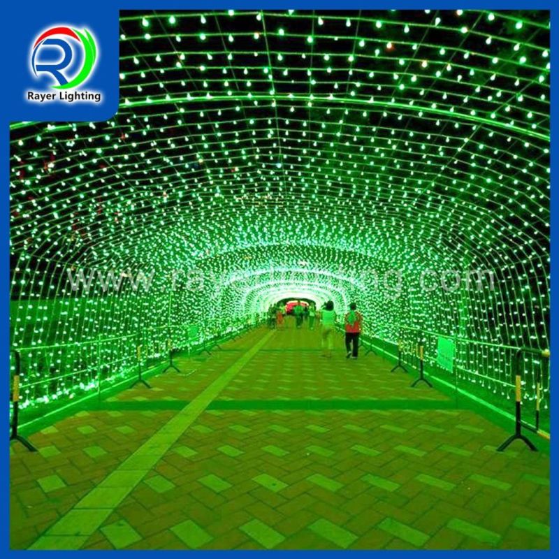 Various Color Christmas Home Party Hall Mall Decoration LED String Light