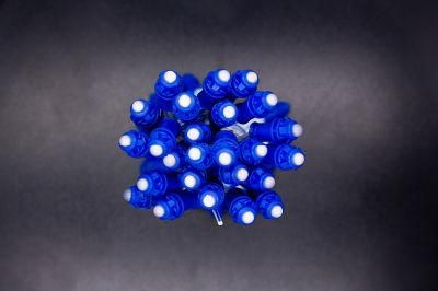 DC5V 12V Waterproof Full Color Ws2811 12mm IP68 Bullet LED Pixel Light for Christmas Decoration