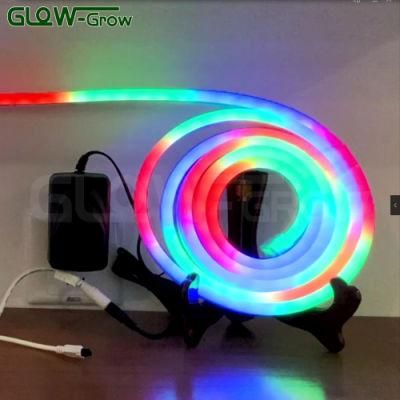 24V LED Dream Colors Neon Flex Light for Christmas Decoration