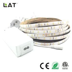 High Brightness DC12V DC24V IP65 SMD2835 Cw Ww 10m 30LEDs Flexible LED Strip Tape Ce ETL UL