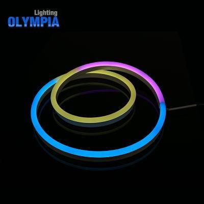 Ultra Thin Neon Flex Rope Outdoor Lighting Wall LED Light with Fixture
