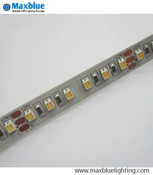 3528 CCT in One 2in1 Dual White LED Strip Light