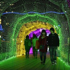 4*6m 672 LED Net Light LED Christmas Lights Wholesale