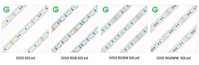 LED Light Strip SMD5050 Rgbww 60LED 19W Ra80 LED Strip DC24 LED Light Strip