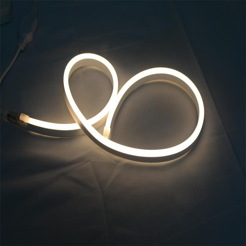 Shenzhen Manufacturer Price CRI80 CE Passed 2835 Warm White Rope Light