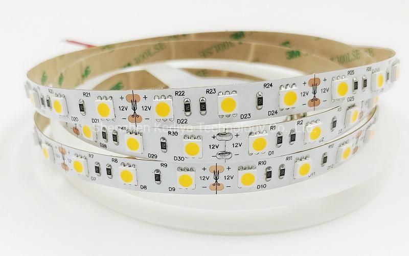 Shenzhen LED Light Strip LED Lighting 12V/24VDC 5050 Warm White LED Strip 5m RGB Colorful Lights