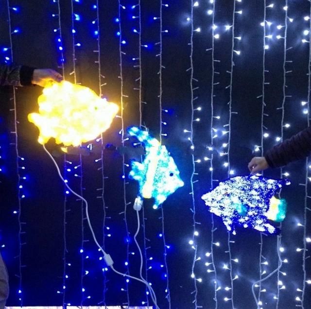 LED Acrylic Lighted Fish for Decoration