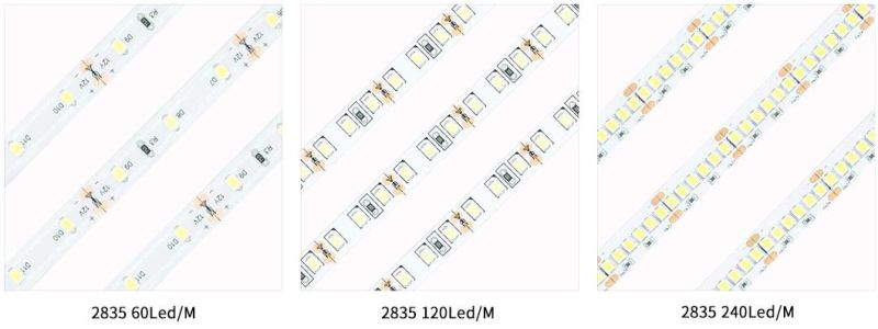 Premium Quality 2835 60LED/M 6watt Waterproof IP65 Outdoor Strip Light