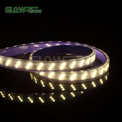 High CRI 120V 50m LED Strip Light for Commercial Project Use