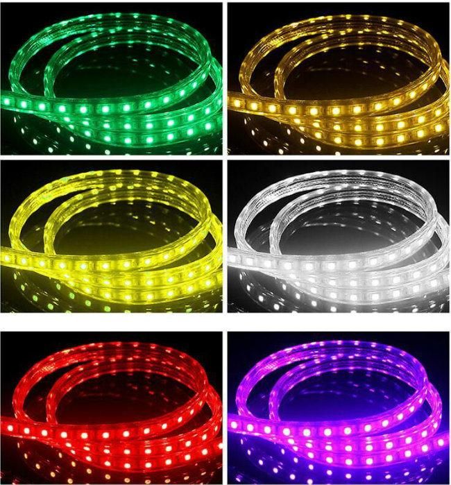 Christmas Mall Decorative LED Tape Outdoor Rope Lighting LED Strip Light