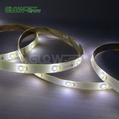 10m 12V/24V 3.6W/M IP44 10*2.2mm Rfc Board White CCT LED Strip Light for Cabinet Make-up Decoration