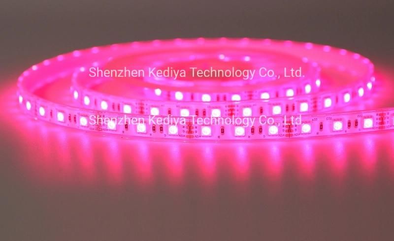 SMD 12V 24V LED Underwater Silicone Extrusion Waterproof IP68 Rope 5050 60 RGB Flexible LED Strip Light for Pool and Home Decoration Light