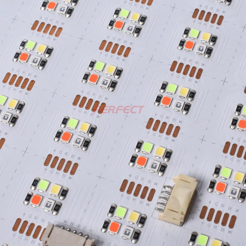 Hot Sale RGBW SMD 2835 DC24V Flexible LED Sheet Light 4LEDs Per Cut High Quality LED Sheet