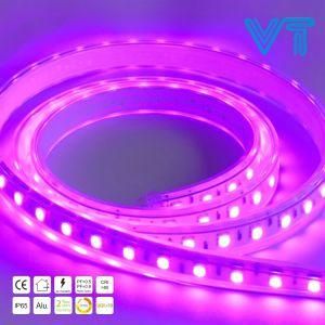 SMD 5050 IP68 RGB Flexible LED Neon Strip