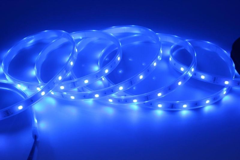 IP20/ IP65/ IP68 Waterproof LED Rope Light 30LEDs/M Flexible RGB LED Strip Light