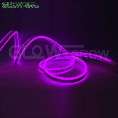 50m 230V IP65 Waterproof Neon Flex Neon LED Lights for Outdoor Christmas Home Party Decoration
