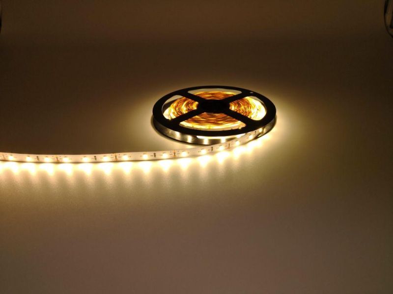 12V LED Strip Lights Waterproof SMD 2835 60LEDs/M LED Neon Flex Strip Tape Ribbon