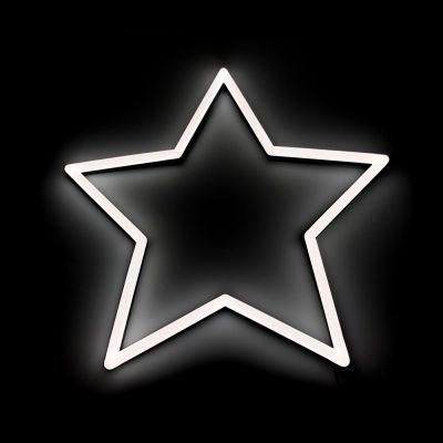 Fast Delivery 12V Decorative Custom Star Neon Sign for Home and Bar