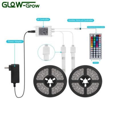 CE Approval 5m LED CCT Strip Light with Built-in Controller