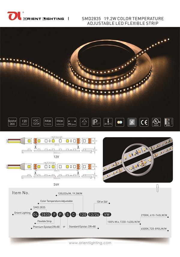 IP66 Color Temperature Adjustable LED Strip Lighting